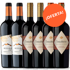 Oferta_Vineyard Reserve + Millaman Estate Reserve