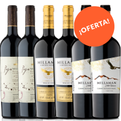 Oferta_Paya+Millaman Limited+Millaman Estate.