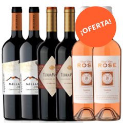 Oferta_Vineyard Reserve+Millaman Estate